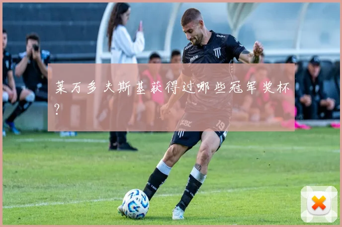 莱万多夫斯基获得过哪些冠军奖杯？